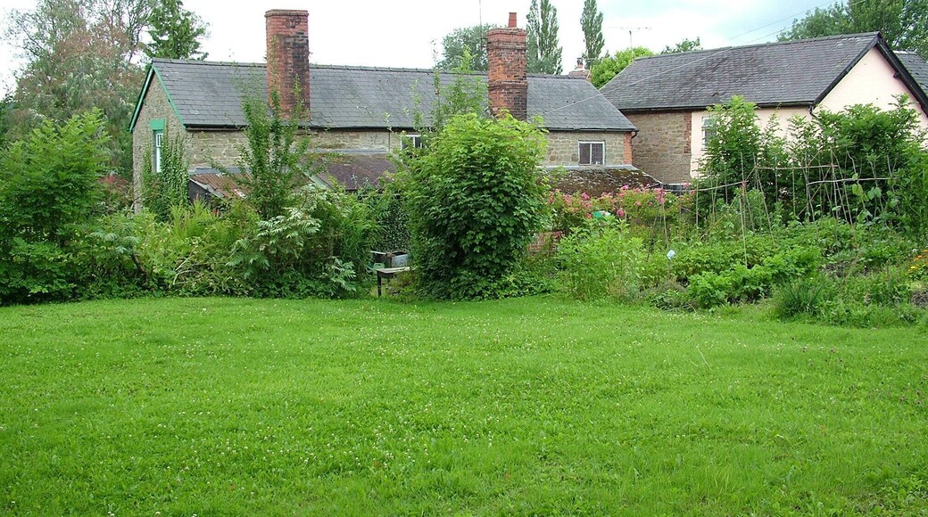 Sun Inn gardens, Leintwardine . Rear view of the historic Sun Inn and it's garden in 2009 - due to have a new extension built over the vegetable plot in 2010. http://www.suninn-leintwardine.co.uk/