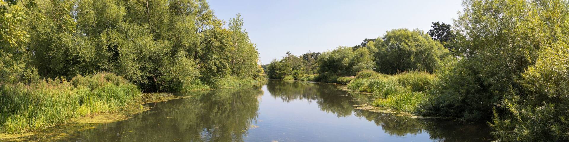 Views of the River Bure between Coltishall and Wroxham, The Broads, Norfolk, UK