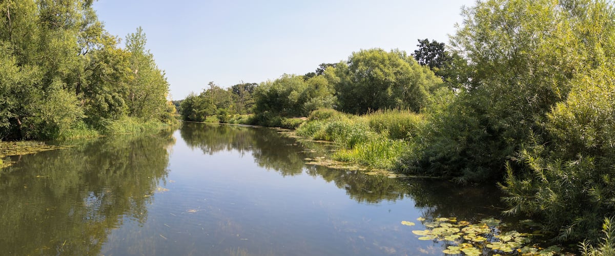 A calm river with dense greenery on both sides.