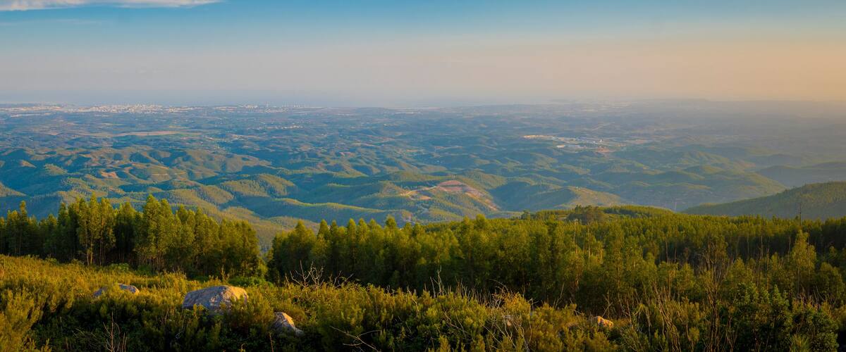 A mountainous landscape with dense forests and rolling hills.