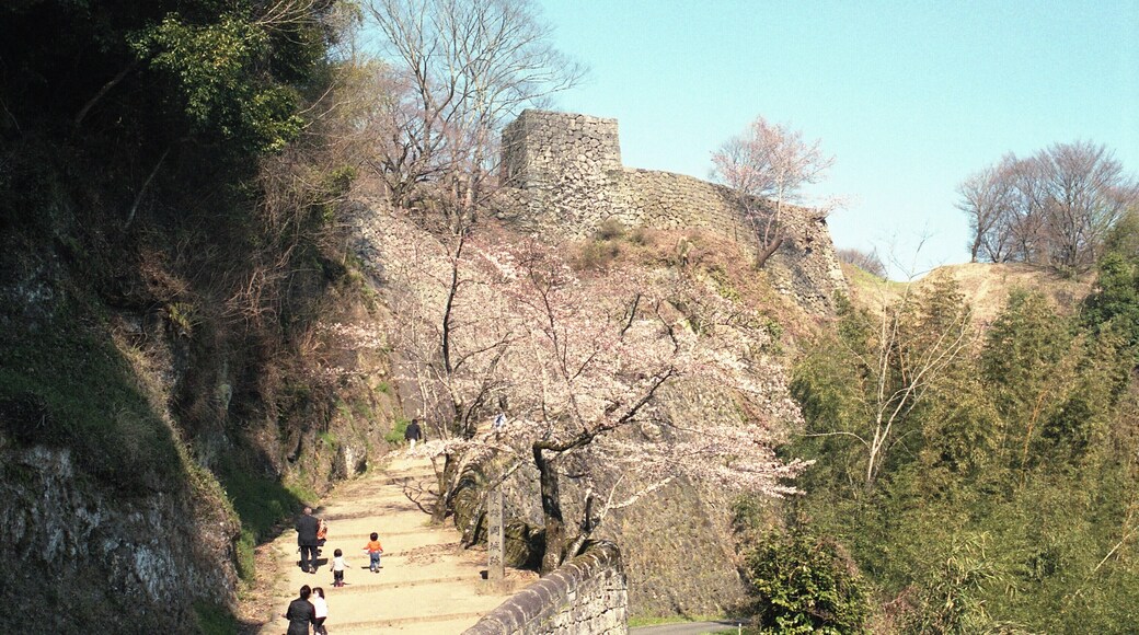 Taketa, Oita Prefecture 878-0013, Japan