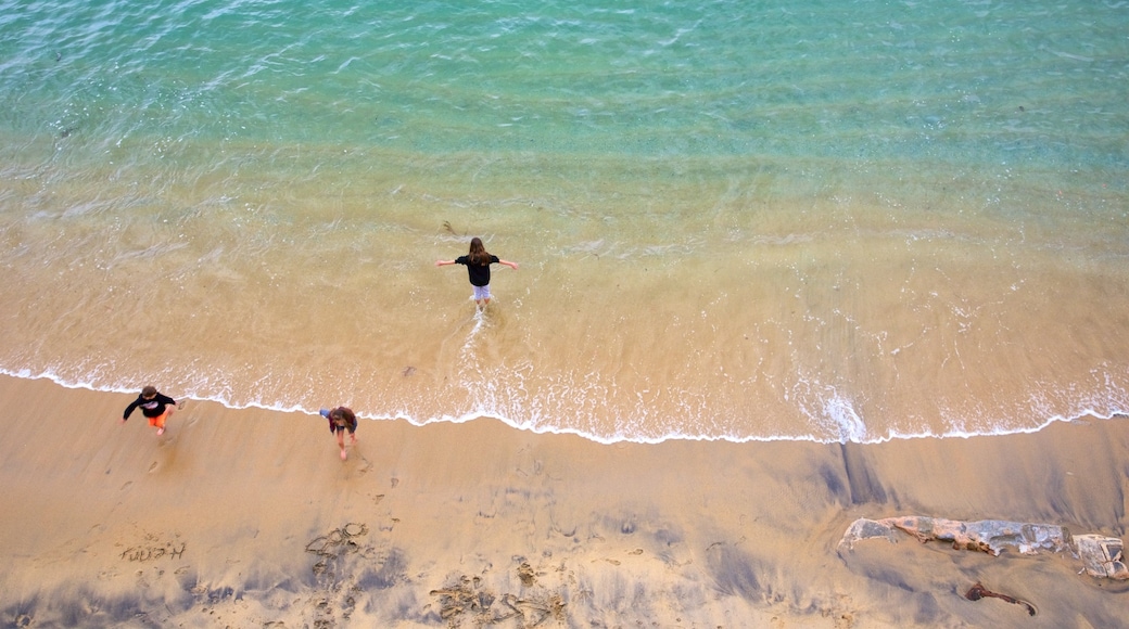 Cannery Row which includes a beach as well as children