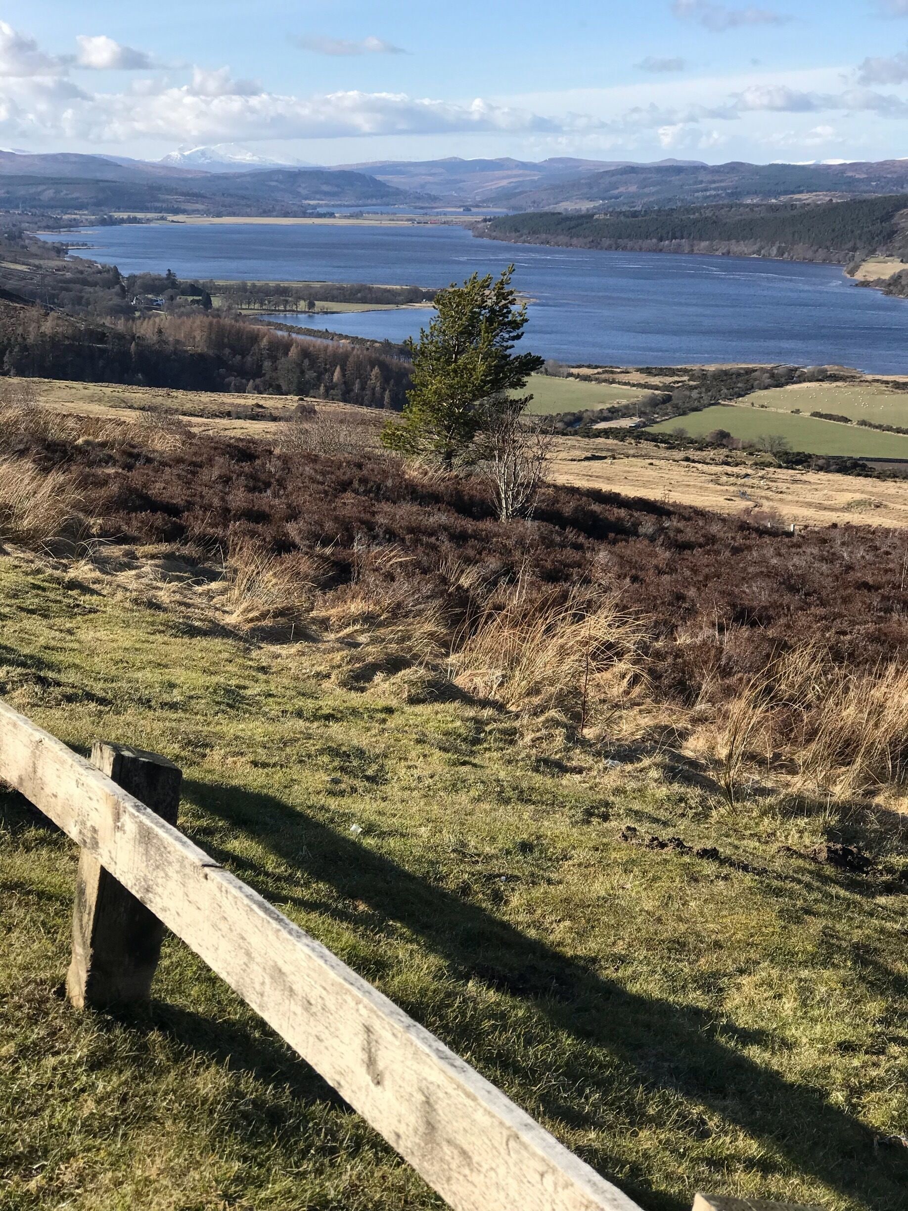 Struie viewpoint well worth a detour if you are in the area or doing North Coast 500