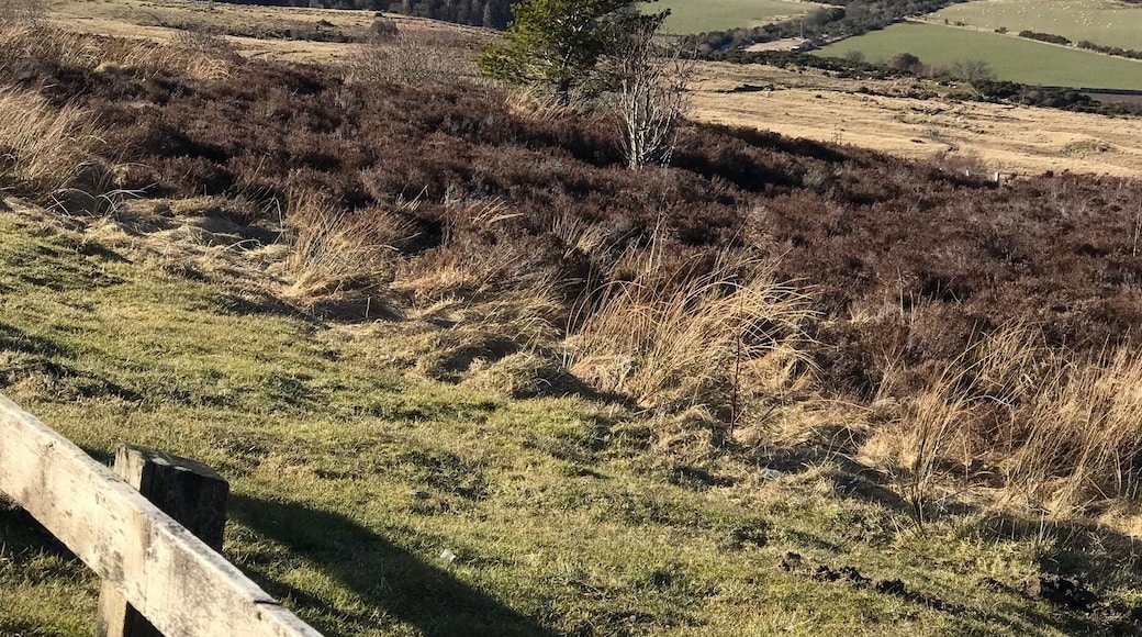 Struie viewpoint well worth a detour if you are in the area or doing North Coast 500