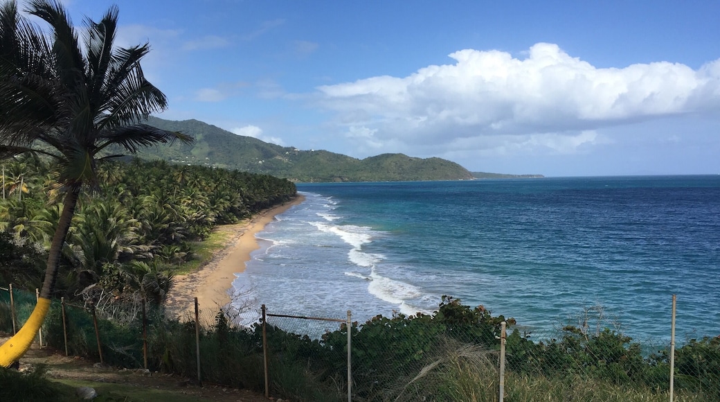 On the South East of Puerto Rico, this is one of my favorite "look out" points on the Island at the Point Tuna Light House. The normal "tourist" to my beloved island would, under most circumstances, not find this spot without "native" friends showing the way. Many thanks to her.