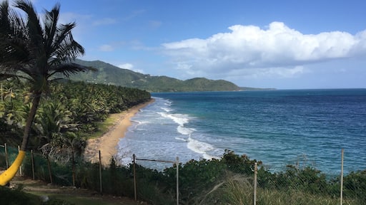 On the South East of Puerto Rico, this is one of my favorite "look out" points on the Island at the Point Tuna Light House. The normal "tourist" to my beloved island would, under most circumstances, not find this spot without "native" friends showing the way. Many thanks to her.