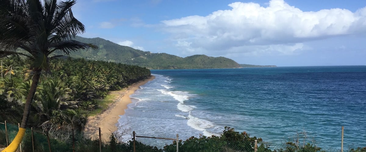 A beach with a fence, palm trees, and a view of the ocean and hills.
