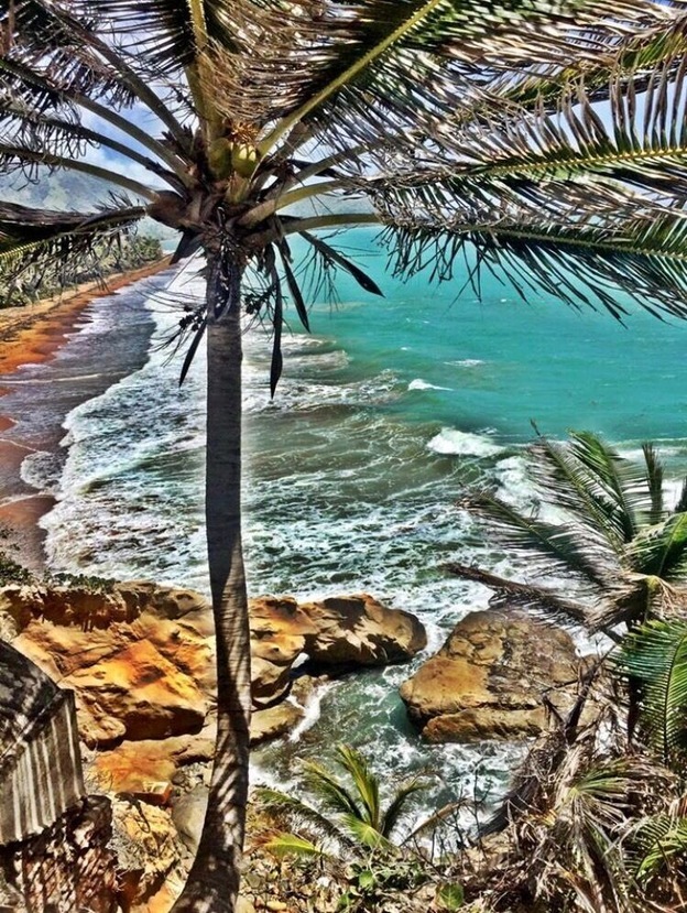 This photo was taken on the walkway path to Punta Tuna Lighthouse.
#Green