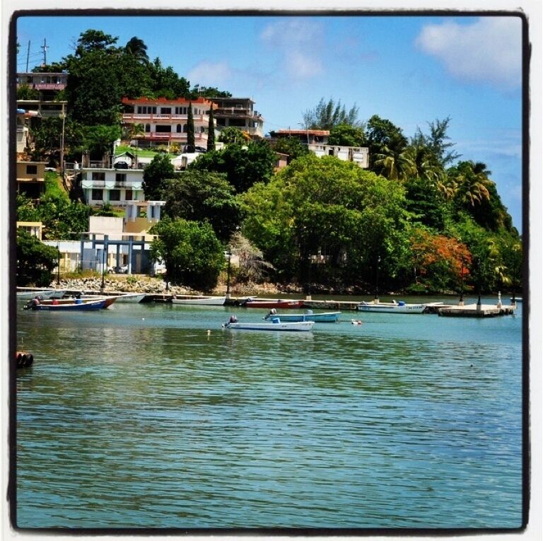 A coastal town with buildings on a hillside, boats on calm water, and lush greenery.