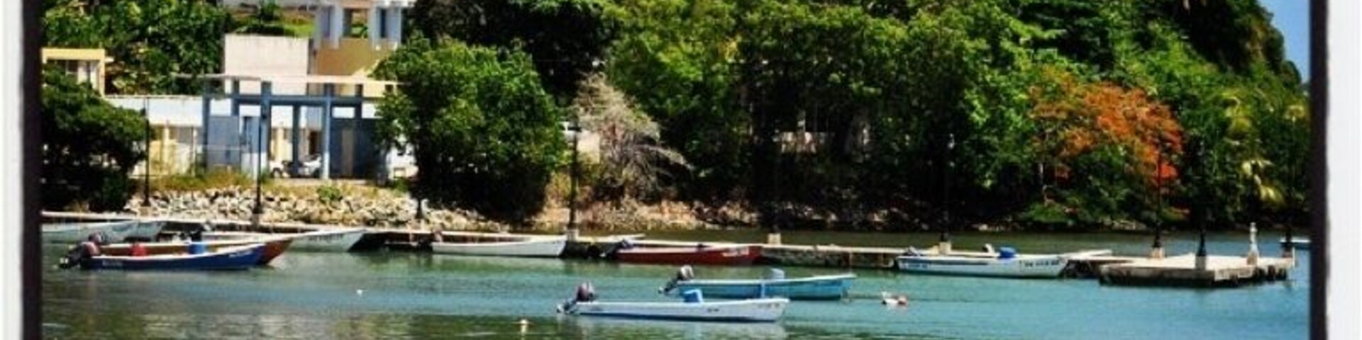 A coastal town with buildings on a hillside, boats on calm water, and lush greenery.