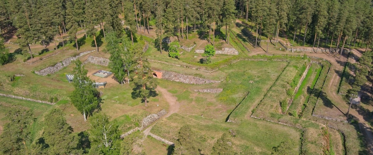 An aerial view of a forested area with stone pathways and small structures.