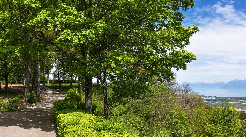 トロン=レ=メミーズ