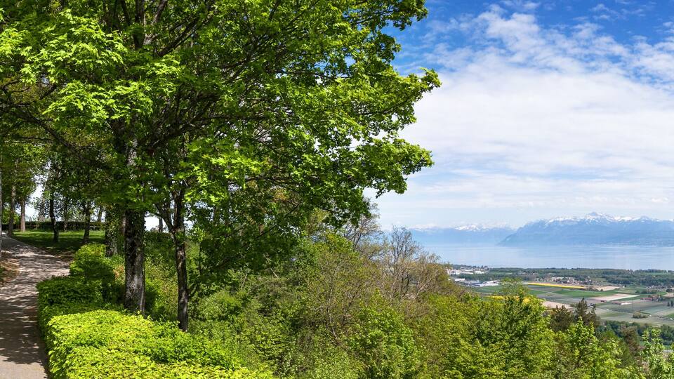 A scenic view of a lake with mountains in the background and lush greenery in the foreground.