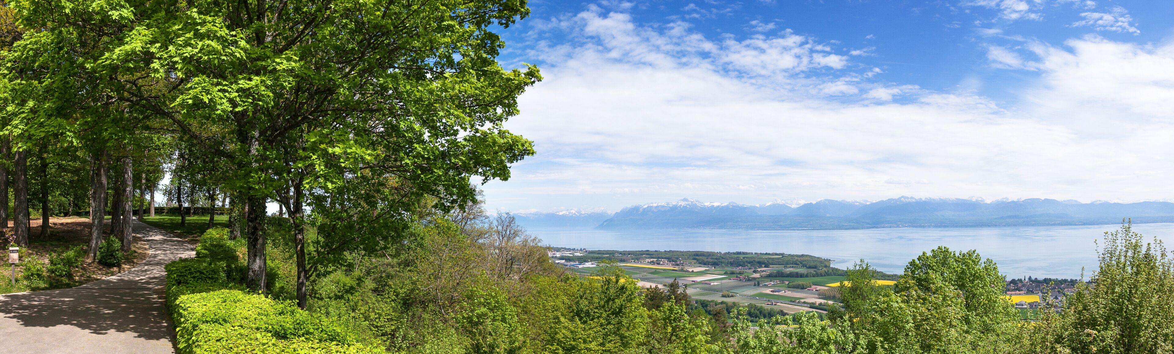 A scenic view of a lake with mountains in the background and lush greenery in the foreground.