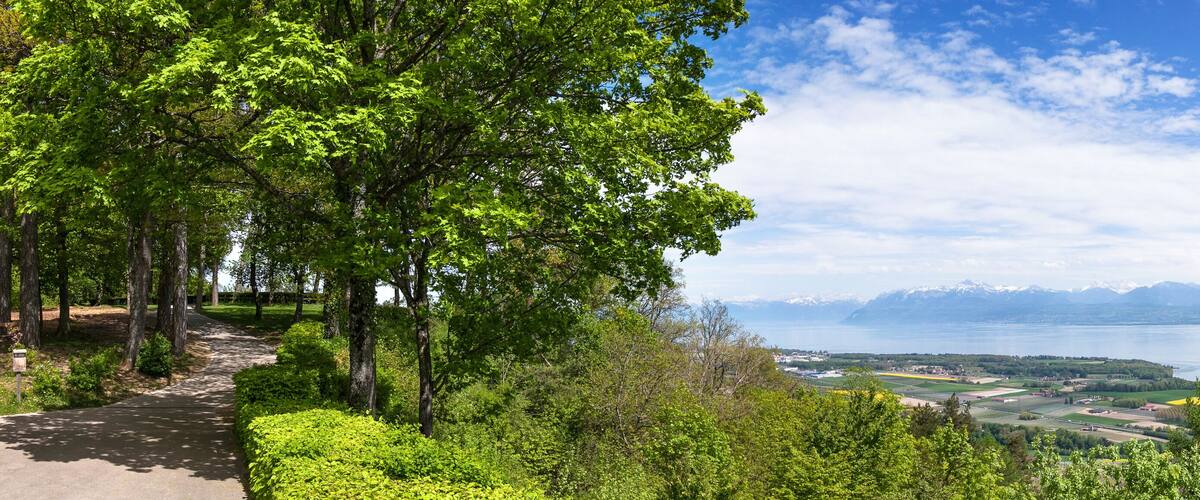 A scenic view of a lake with mountains in the background and lush greenery in the foreground.