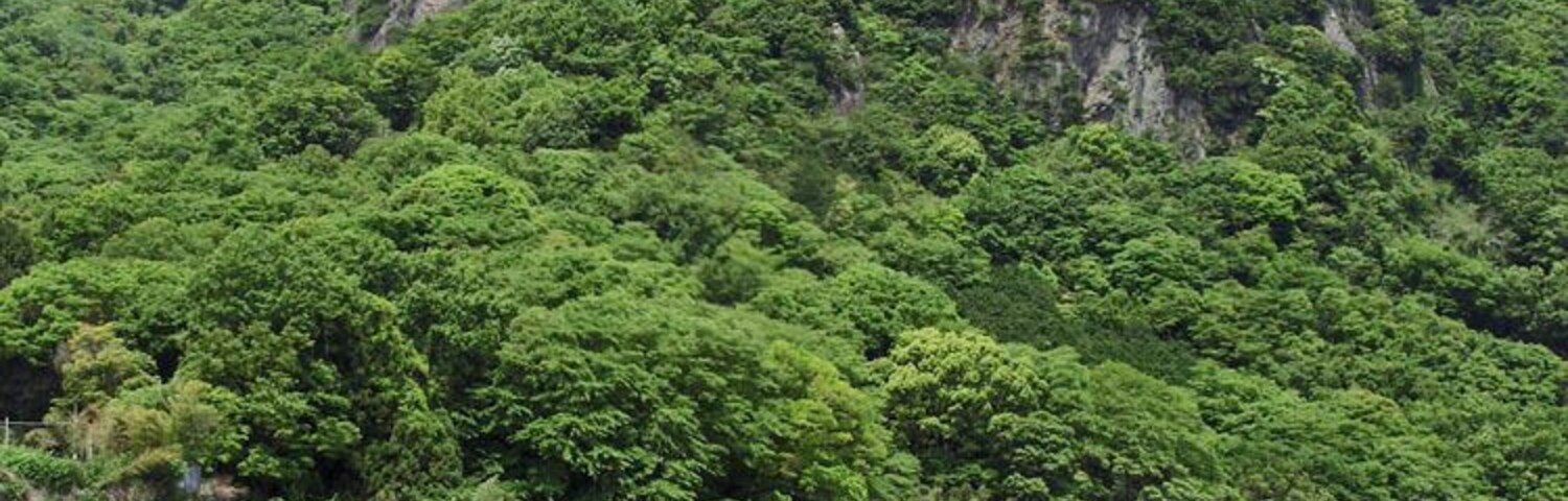 Mount Joyama, Izunokuni, Shizuoka pref., Honshu, Japan.