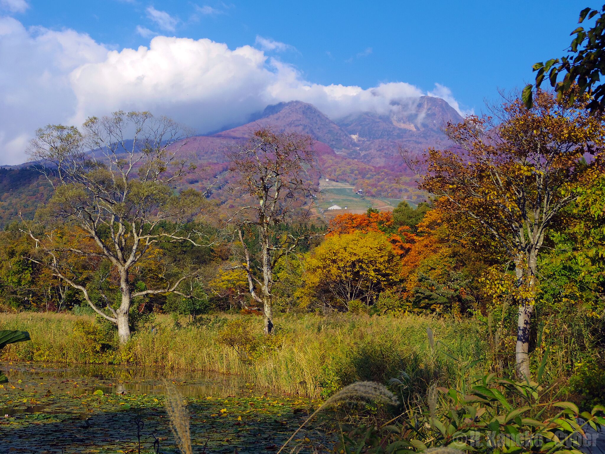 A mountainous landscape with autumn foliage, a body of water, and a clear sky.