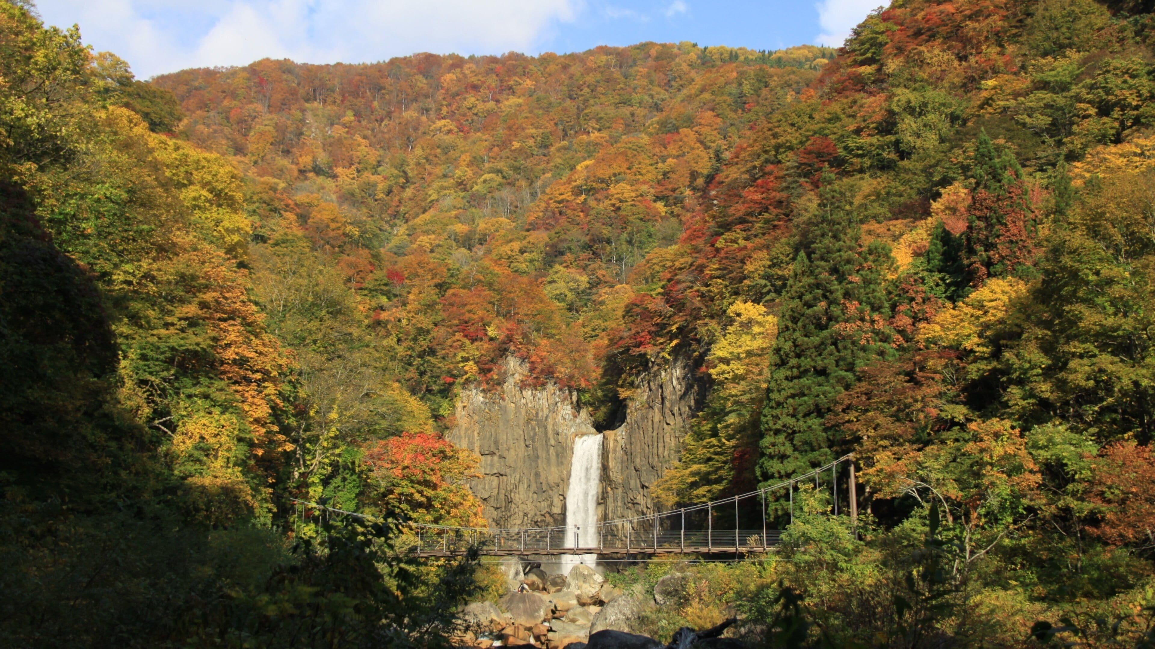 Myoko which includes autumn leaves, a waterfall and forest scenes