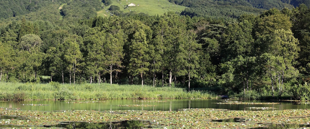 This is a retouched picture, which means that it has been digitally altered from its original version. Modifications: cropped. The original can be viewed here: Mout Myoko from Imori-ike (7695777960).jpg. Modifications made by Batholith.