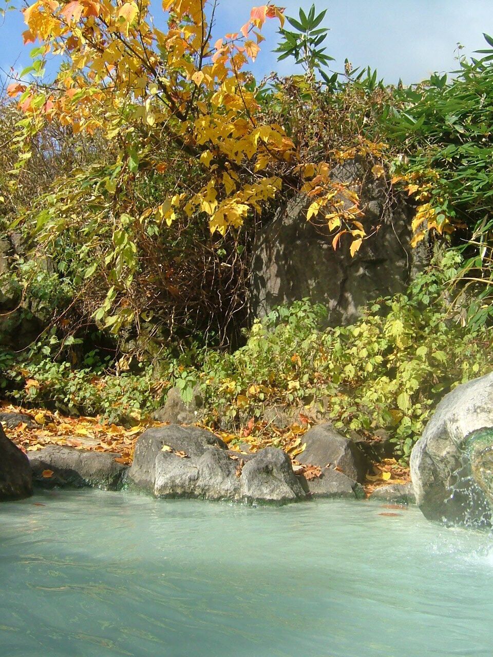 Un arroyo cristalino con rocas y follaje otoñal.