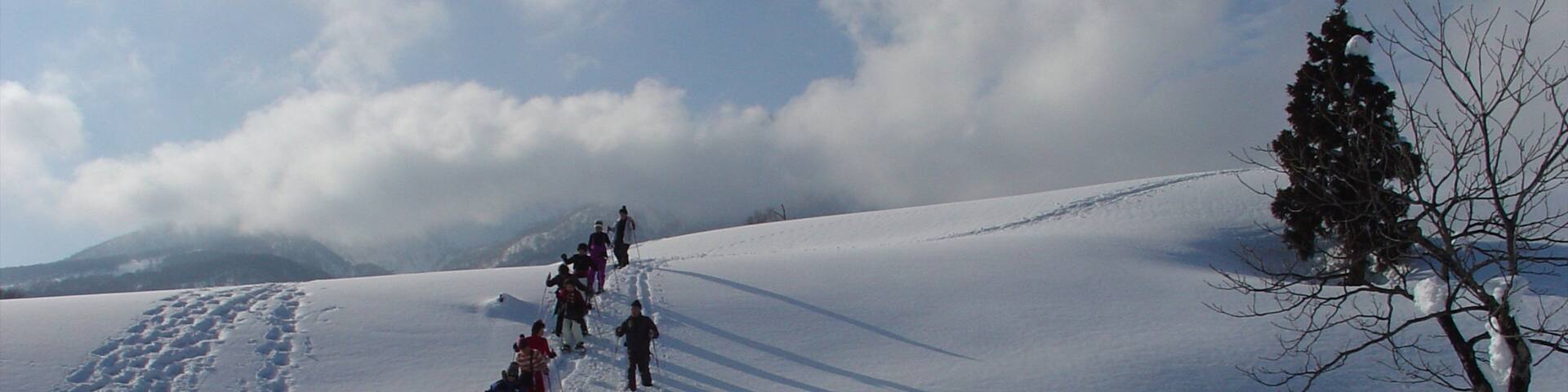 Myoko featuring snow and snow shoeing as well as a small group of people