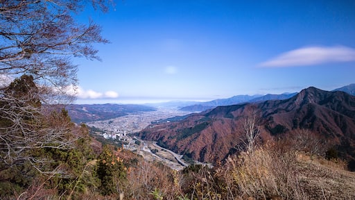 Yuzawa