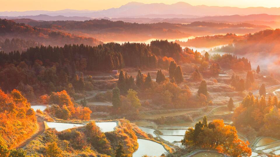 Terraced rice fields, dense forests, and distant mountains.