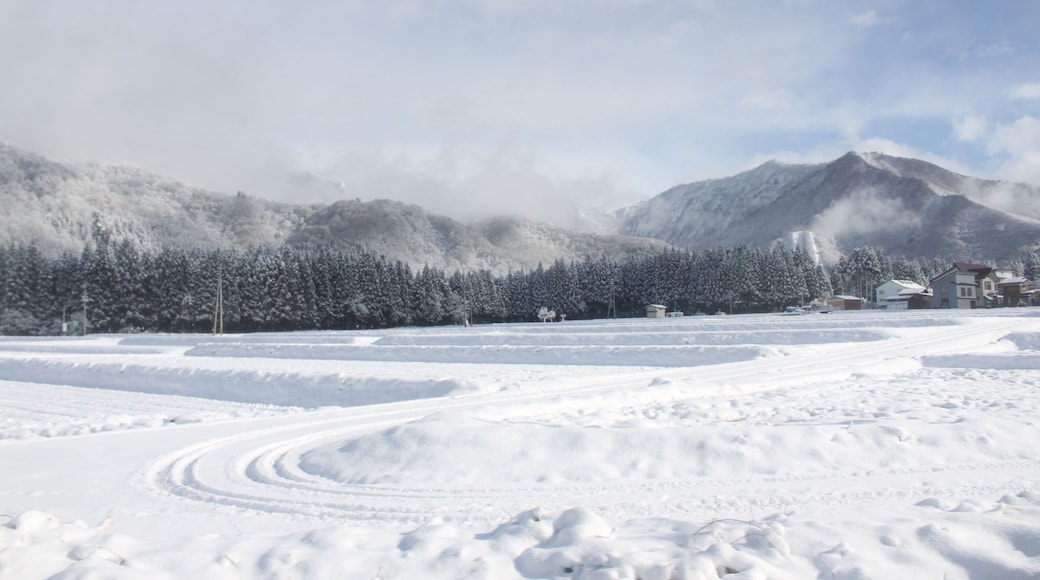 越後中里付近の風景