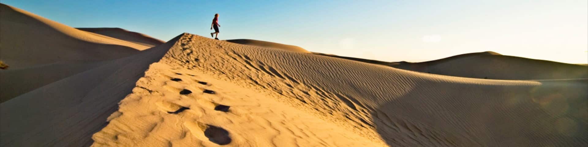 ユマ どの含み ハイキングあるいはウォーキング, 砂漠の眺め と 自然の風景