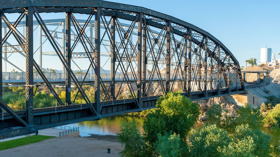 A steel bridge over a river with greenery and a distant cityscape.