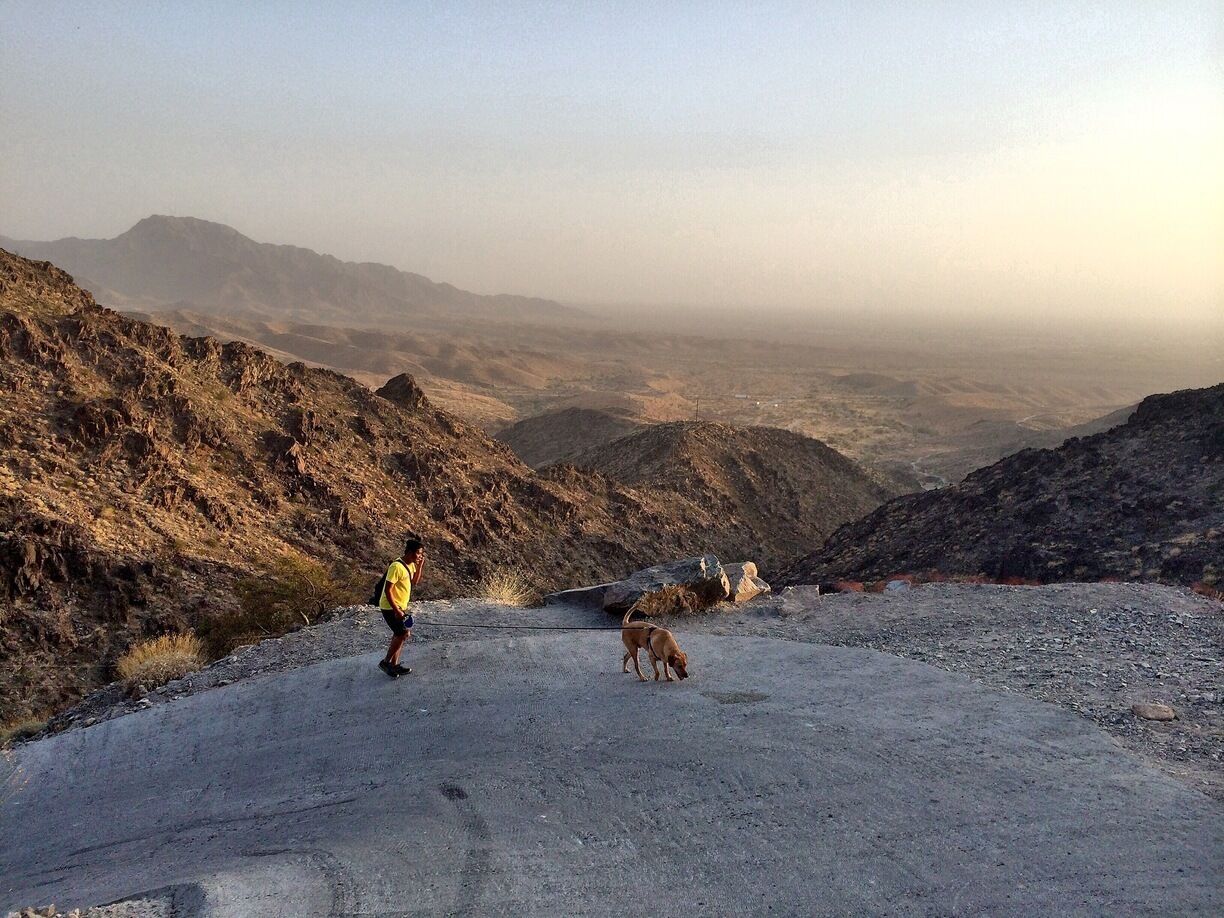 The view from the top of Telegraph Pass comes only after a steep incline to 1,127 ft in about a half an hour. It's the local favorite outdoor workout if you just wanna get in a quick outdoor challenge before or after work. "The never ending stair master" I call it.  