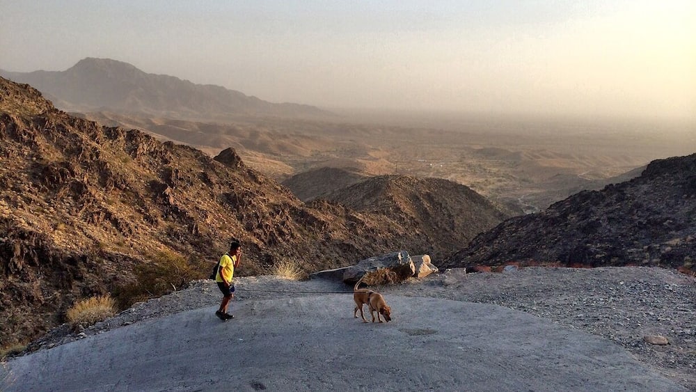 A person in a yellow shirt and black shorts walking a dog on a rocky, barren landscape with distant mountains.
