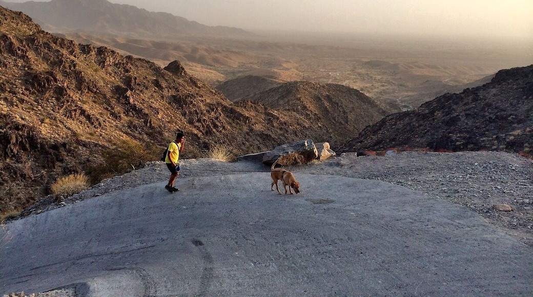 The view from the top of Telegraph Pass comes only after a steep incline to 1,127 ft in about a half an hour. It's the local favorite outdoor workout if you just wanna get in a quick outdoor challenge before or after work. "The never ending stair master" I call it.