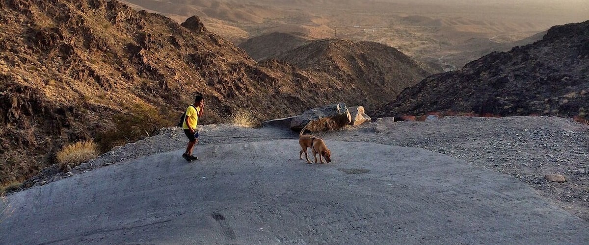 A person in a yellow shirt and black shorts walking a dog on a rocky, barren landscape with distant mountains.