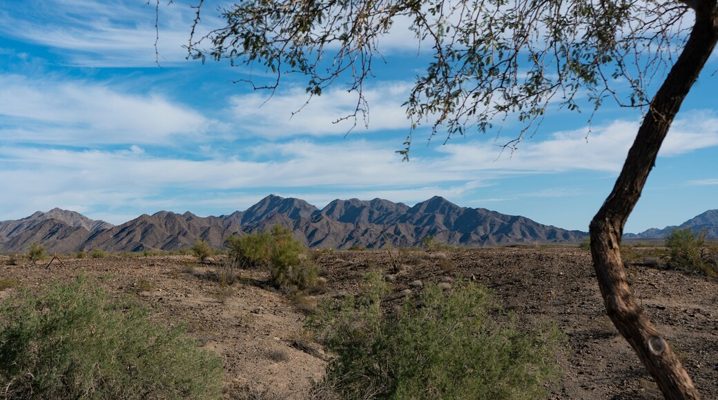 A Desert Mountain Landscape near Ehrenberg Arizona