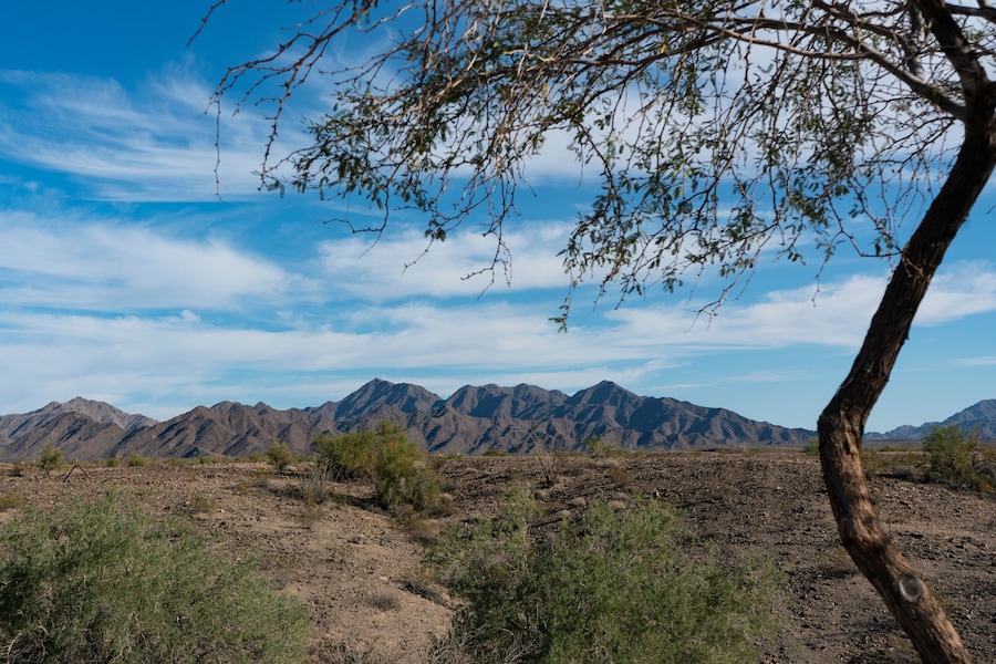 A desert landscape with sparse vegetation, a clear sky, and distant mountains.