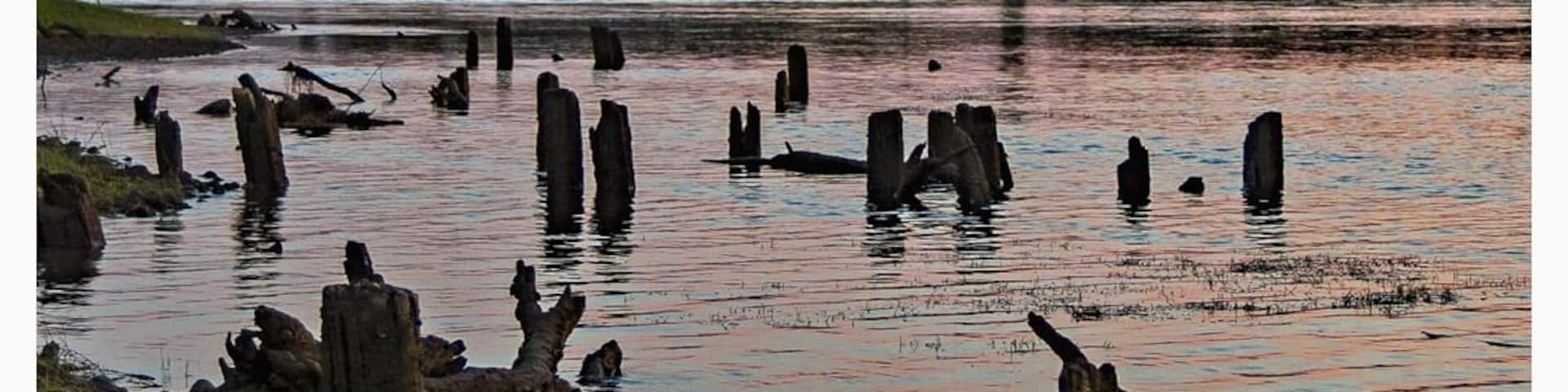Ship wreck.
-
Instagram.com/zacheryjames_
-
-
#seaview
#travelphotography
#naturephoto
#water
#blue
#surf
#skyline
#beautifuldestinations #sunsetsky
#naturelovers
#seascapelover #seascapephotographer #sunsetsniper
#seascapephoto
#beautiful
#travel
#photography
#seaside
#world_bestsky
#sunsetview
#seascapeartist
#clouds
#sun
#seascapeart
#seascapelovers #naturephotography #landscapephotography
#sky
#nature
#landscape