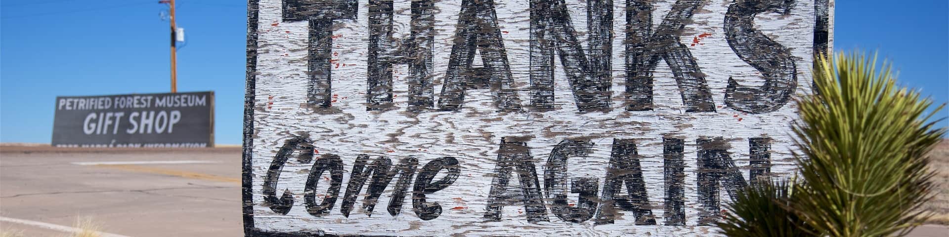 Holbrook which includes desert views and signage