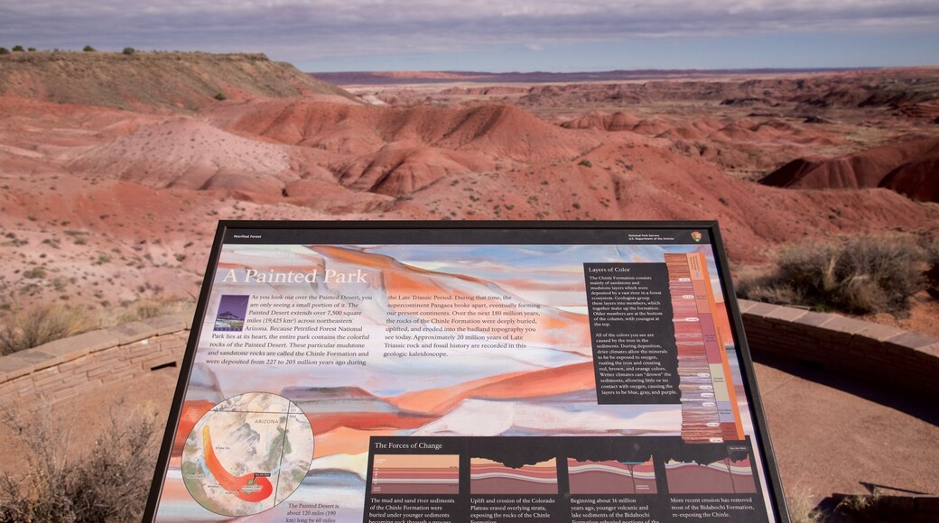 Holbrook que inclui paisagem, paisagens do deserto e sinalização