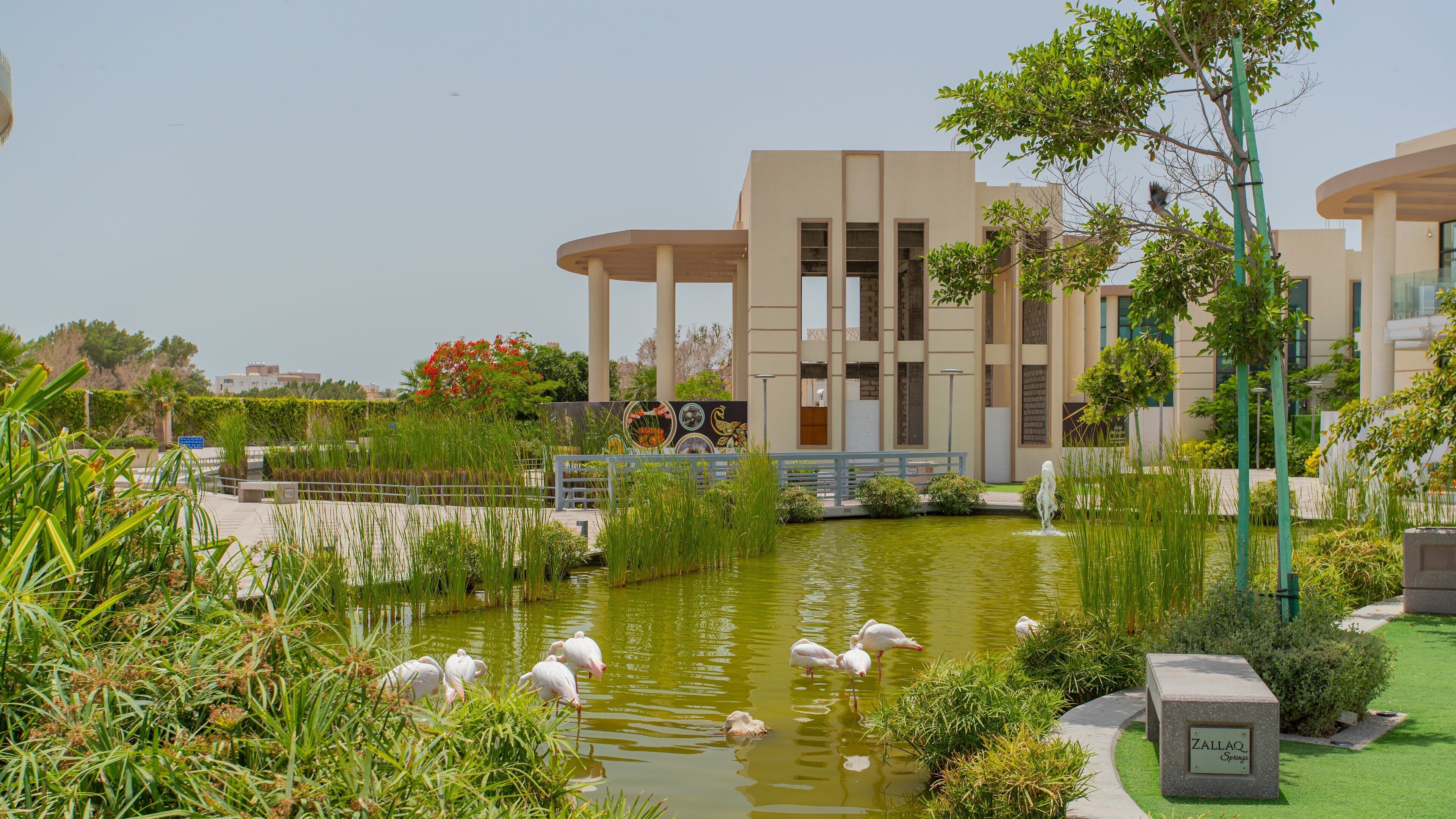 Zallaq featuring bird life and a pond