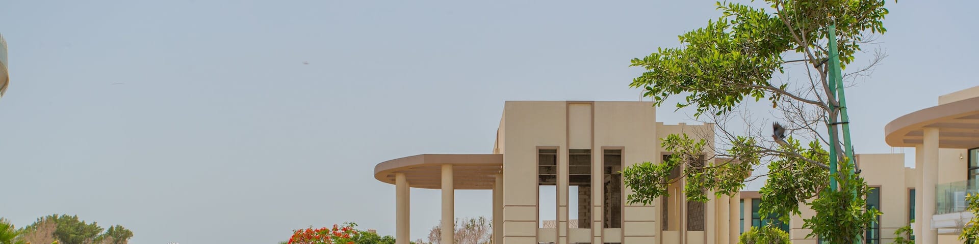 Zallaq featuring bird life and a pond