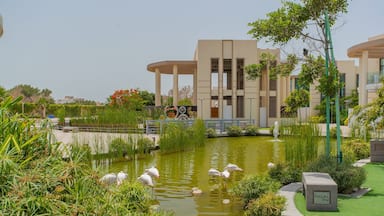 Zallaq featuring bird life and a pond