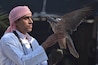 A Bahraini and his falcon, a perfect combination