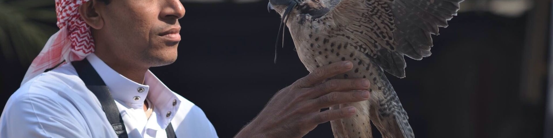 A Bahraini and his falcon, a perfect combination