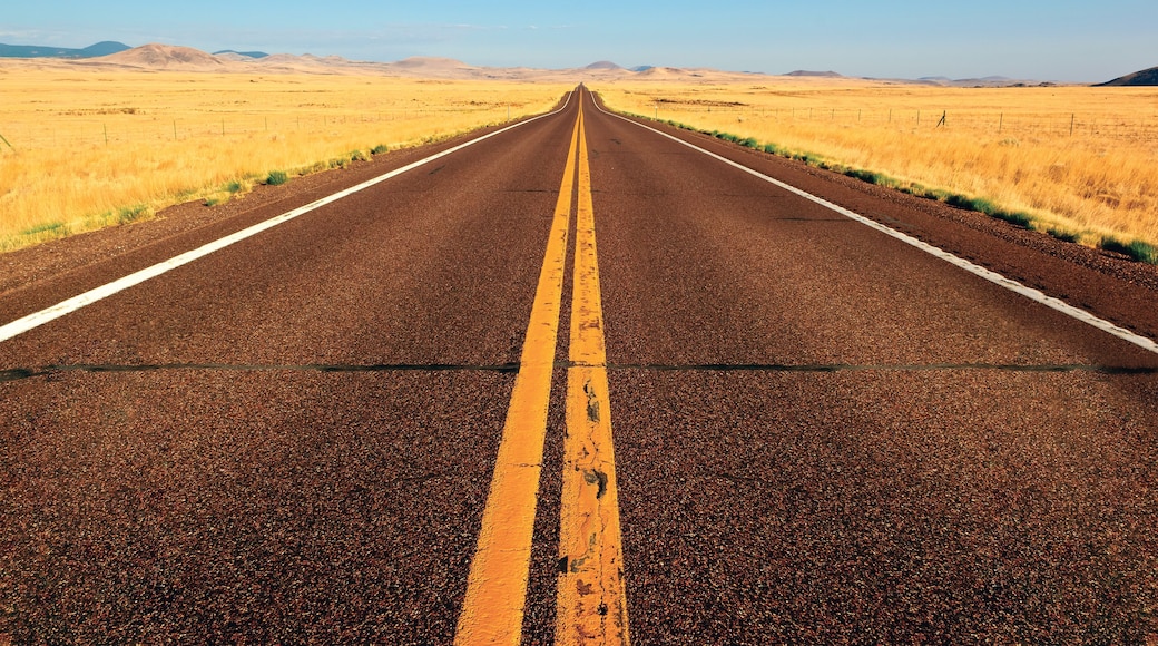 Straight Road through rural landscape between Springerville and Show Low, Apache County, Arizona, USA