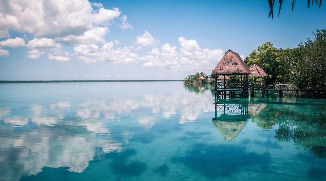 Bacalar