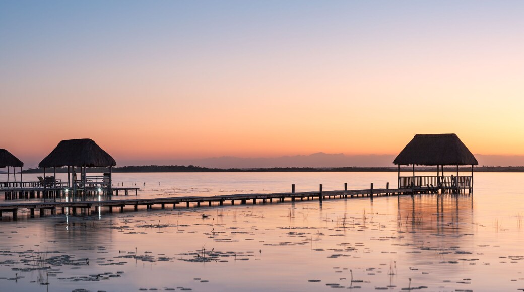Bacalar