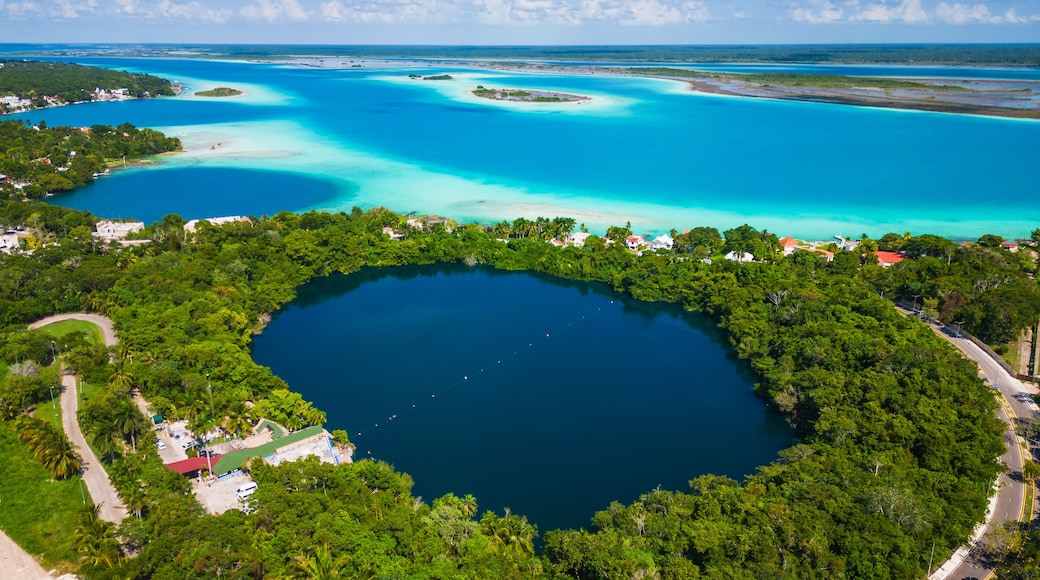 Bacalar
