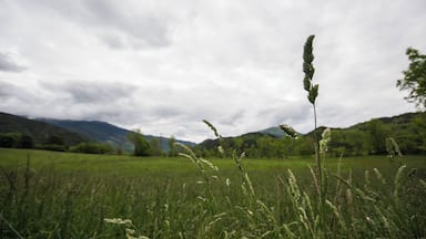 Vall de Rigard (Ripollès)