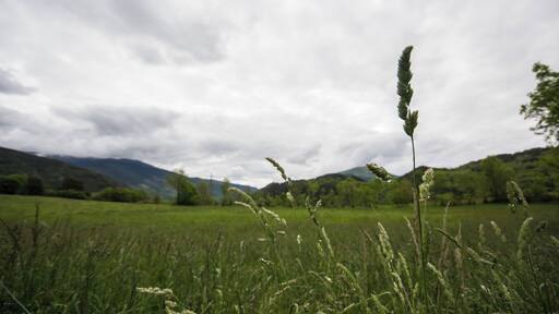 Vall de Rigard (Ripollès)